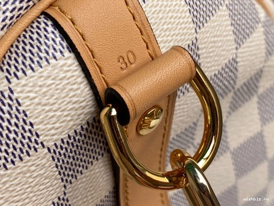 WIS 30 BANDOULIÈRE LOUIS VUITTON SPEEDY 0225